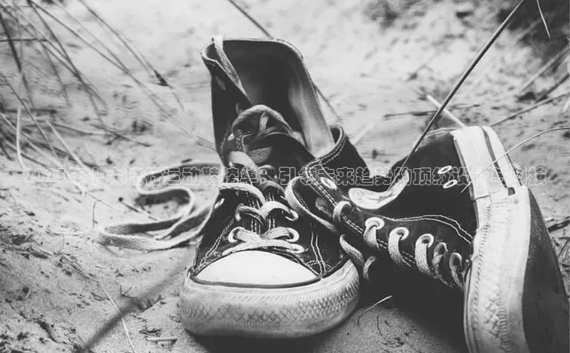 尊龙卡z6官方网站入口