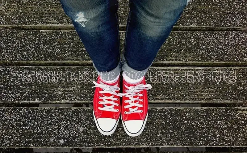 尊龙卡z6官方网站入口