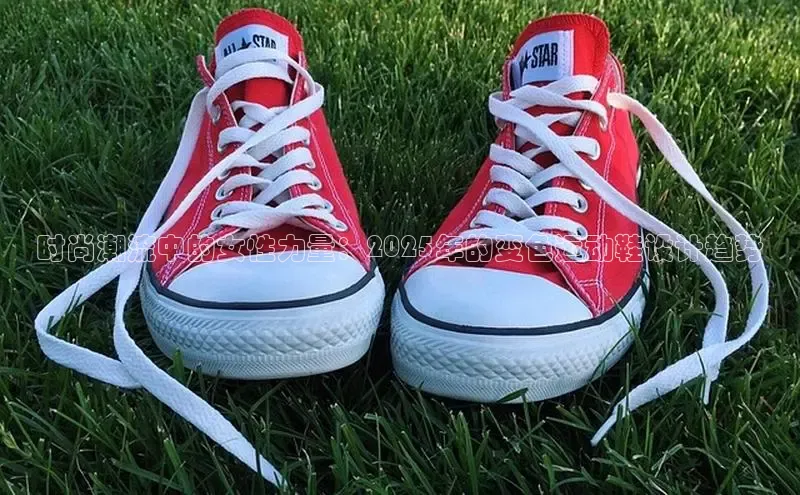 尊龙卡z6官网首页