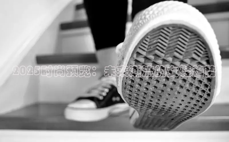 尊龙卡z6官方网站入口